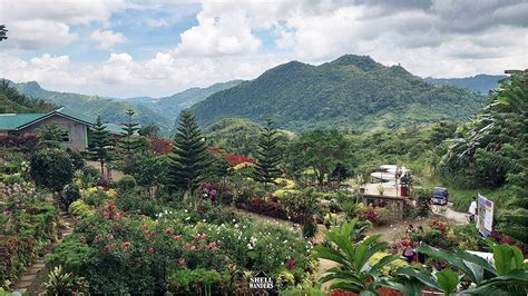 How to Get to Buwakan ni Alejandra Cebu » Shellwanders.